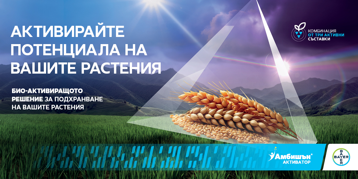 амбишън активатор